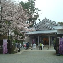 小田原城NINJA館(歴史見聞館)