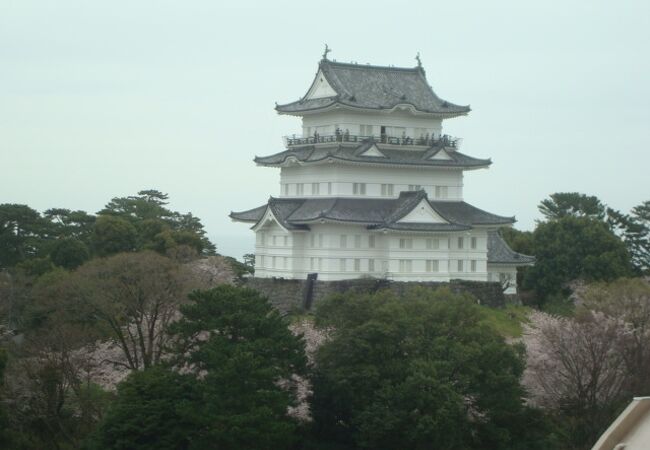 八幡山古郭東曲輪から小田原城が見えます