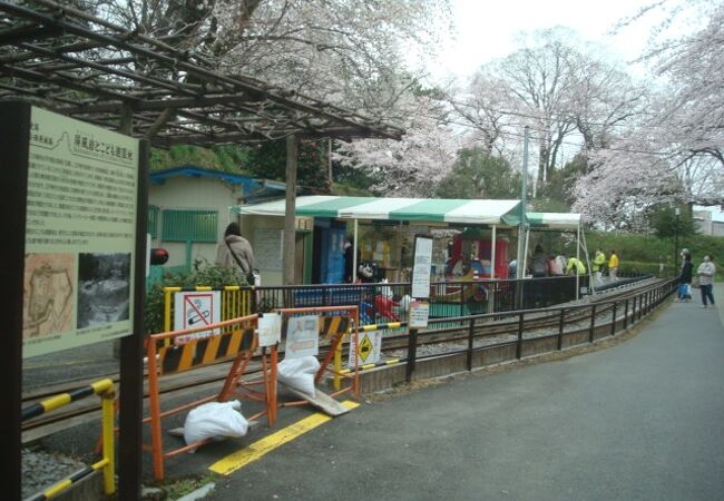 こども遊園地周りの桜がきれいでした