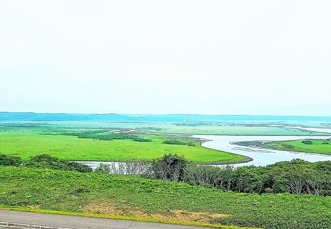 見晴らし良い　琵琶瀬展望台