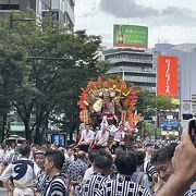 「集団山見せ」