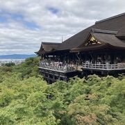 相変わらずの人気