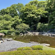 月・金は休館ですよ