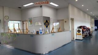 オリックスレンタカー (新石垣空港ハイビスカス店)