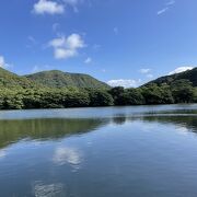 ヒルギが生い茂るなだらかな川