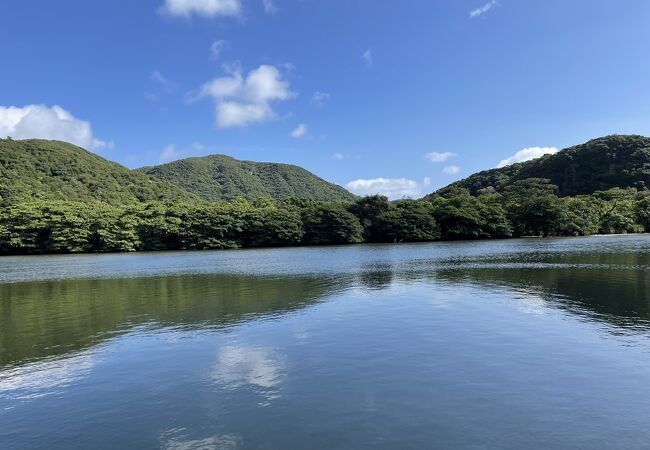 ヒルギが生い茂るなだらかな川