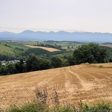 五稜の丘からの十勝岳連峰