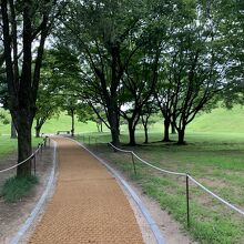 大陵苑には２３もの古墳が点在しています。森のよう。