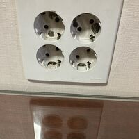 かなり古いタイプ。要コンセント形状変換グッズ