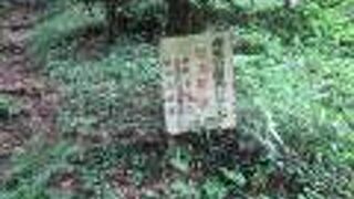 網代弁天山公園