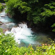 水量が多くて穴はわかりにくかったけれど　綺麗な水の青色は見えました！