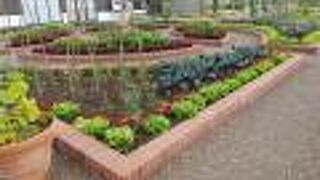 広いは公園気持ちよく散歩できました