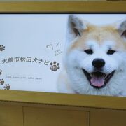 魅力ある「秋田犬の里」なのよ