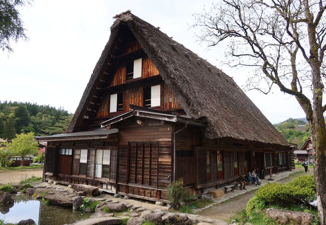 池に越しに見る姿が印象的