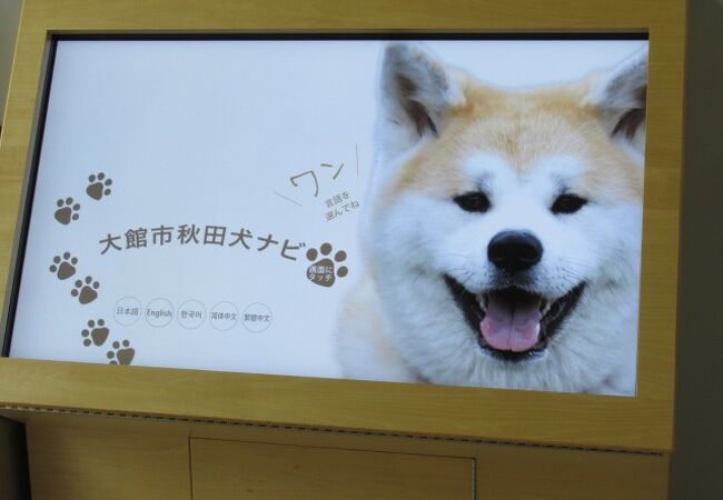 魅力ある「秋田犬の里」なのよ