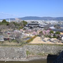 郡山城跡