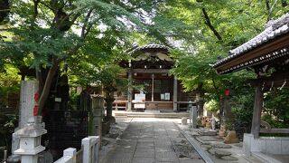 慈眼院 沢蔵司稲荷