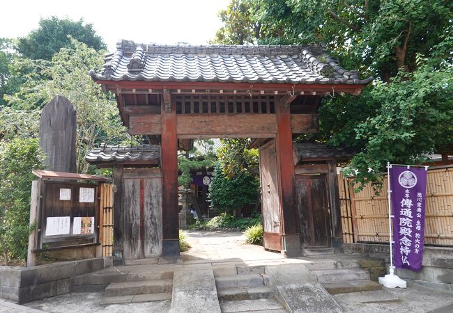 小石川善光寺