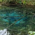 まさに真っ青、周りの空気も神秘の神の子池