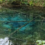 まさに真っ青、周りの空気も神秘の神の子池