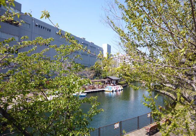 横十間川親水公園