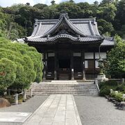 修善寺（静岡県伊豆）：源氏ゆかりの寺