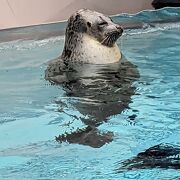 楽しい水族館