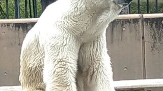 大人気動物園