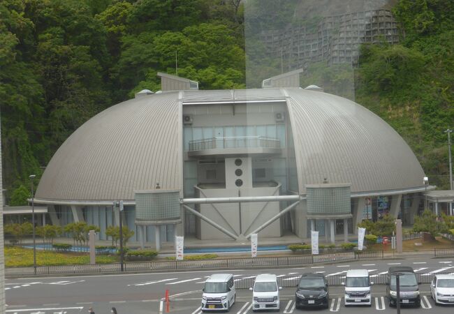 日本唯一の越前ガニの博物館
