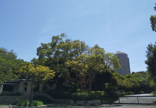 稲岸公園