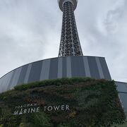 横浜のシンボルですが少しさびしい