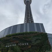 横浜のシンボルですが少しさびしい