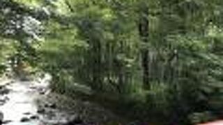 恋の橋めぐり（静岡県伊豆）：修善寺温泉街に掛かる五つの橋、町興し企画