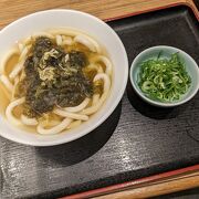 優しい味の福岡うどん