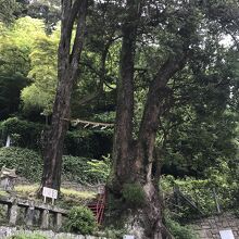 土肥神社