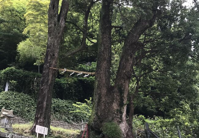 土肥神社