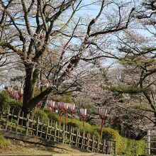 公園の風景