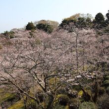 展望休憩所からの眺め