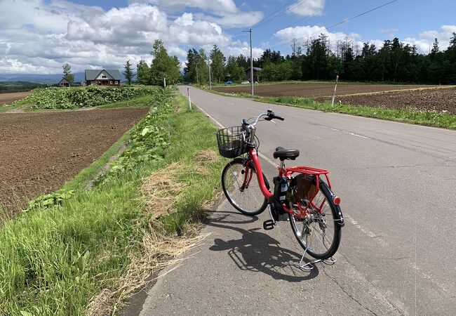 サイクリング、おすすめです！