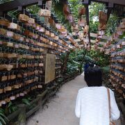 亜熱帯植物に囲まれた神社