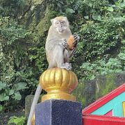 マレーシア最大の観光地であり猿山