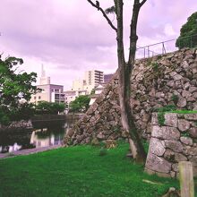 城址跡の面積はそこそこ広い。