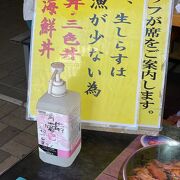 首都圏から手軽な観光地。この夏はしらすが不漁で，生しらす丼が食べられないお店が多くて残念でした。