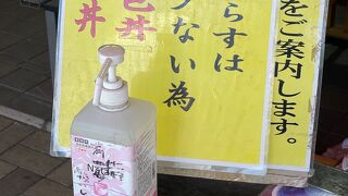 首都圏から手軽な観光地。この夏はしらすが不漁で，生しらす丼が食べられないお店が多くて残念でした。