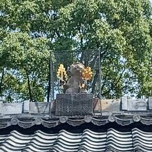 拝殿の屋根に鬼門を護る猿