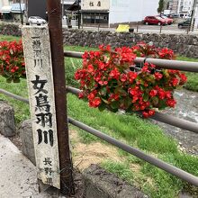 女鳥羽川