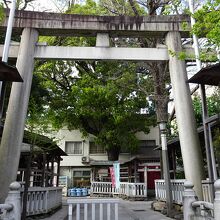 鳥越神社