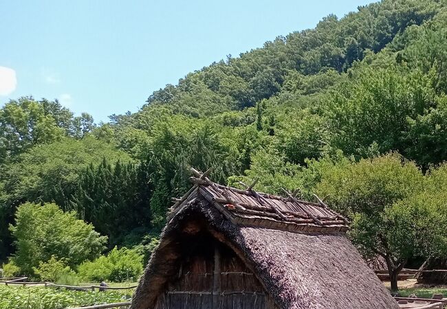 竪穴式住居