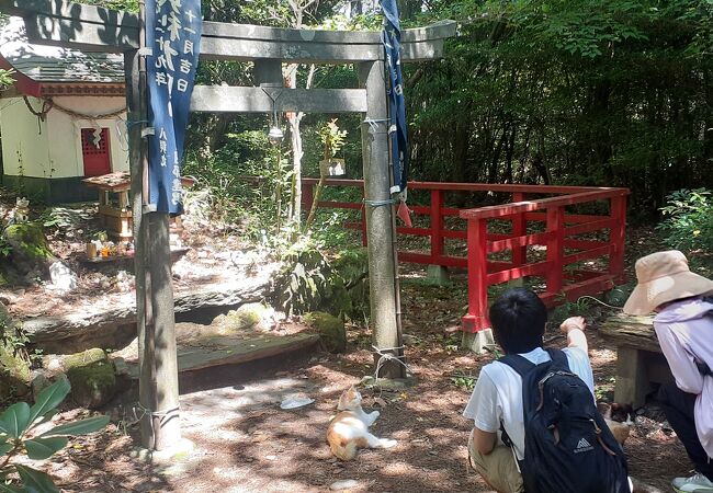 田代島 猫神社 (美興利大明神)