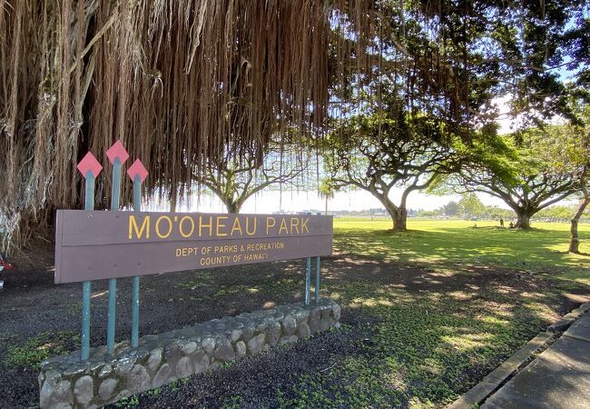 ハワイ島ヒロのダウンタウンの近くにある公園